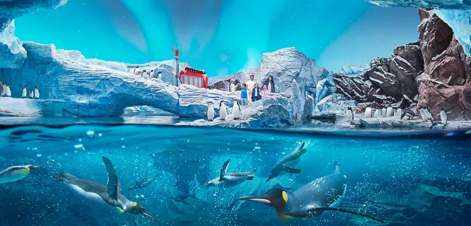 Abu Dhabi Sea World Tickets